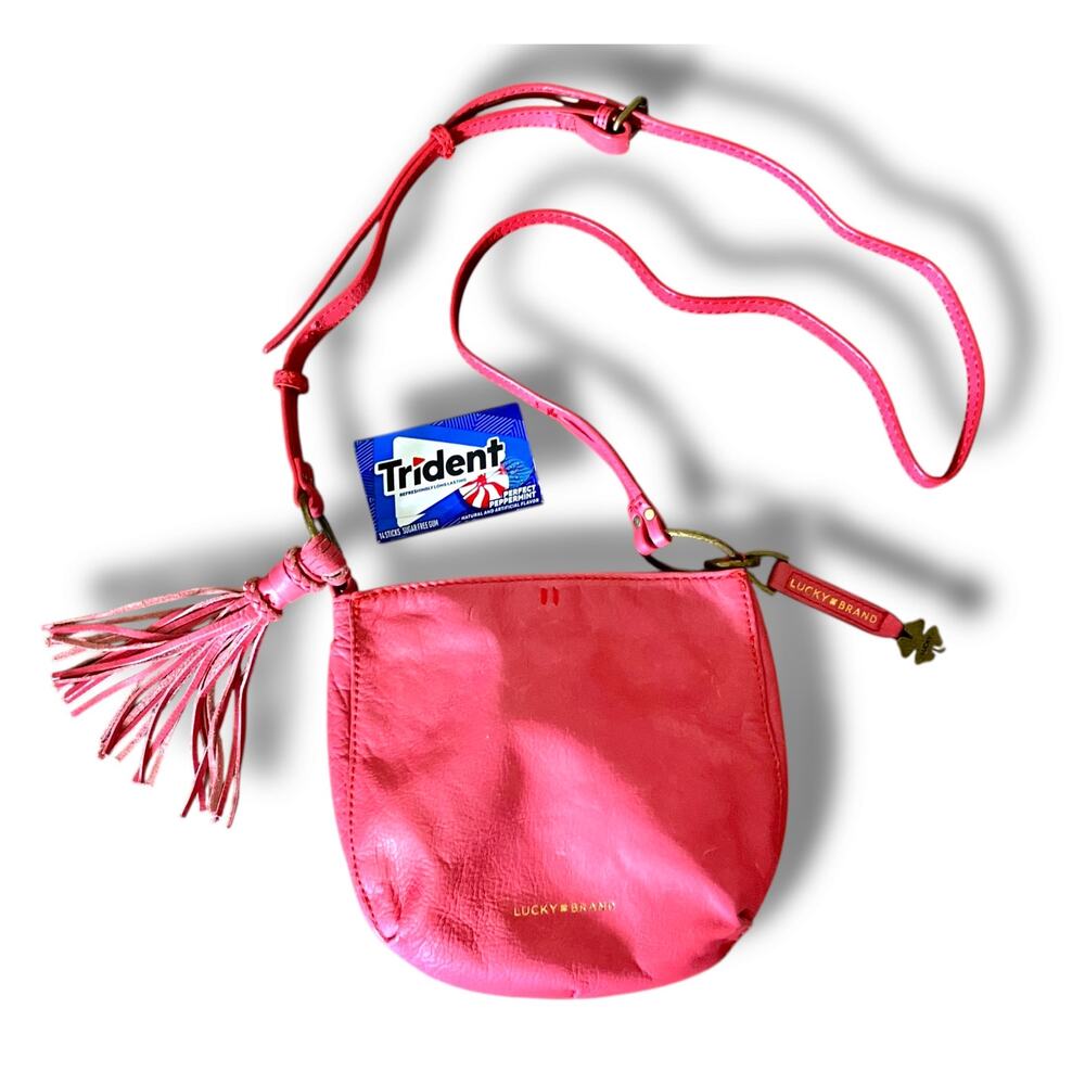 Pink Lucky Brand Fringe Tassel Leather Hobo Bag Purse Crossbody Clover Charm 00s